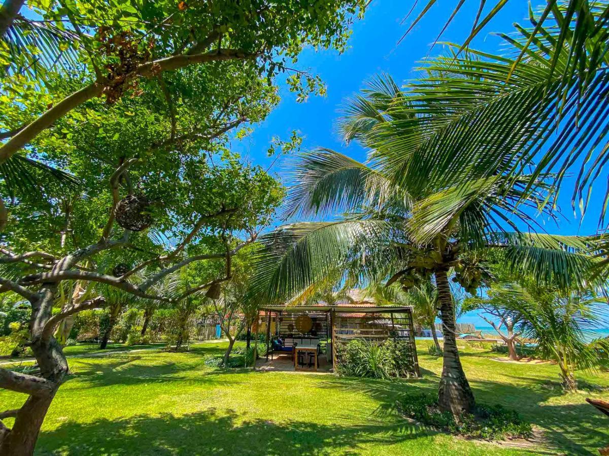 Pousada Villa Tatuamunha ภายนอก รูปภาพ